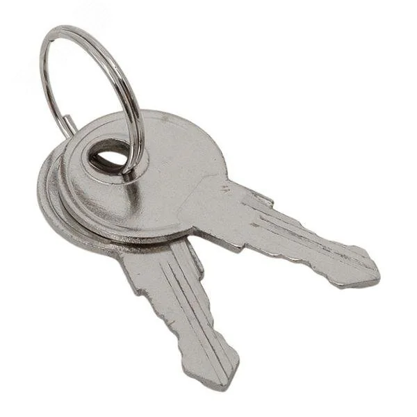 Ключ для замка (арт. 18-20/38-ip31) PROxima key-1