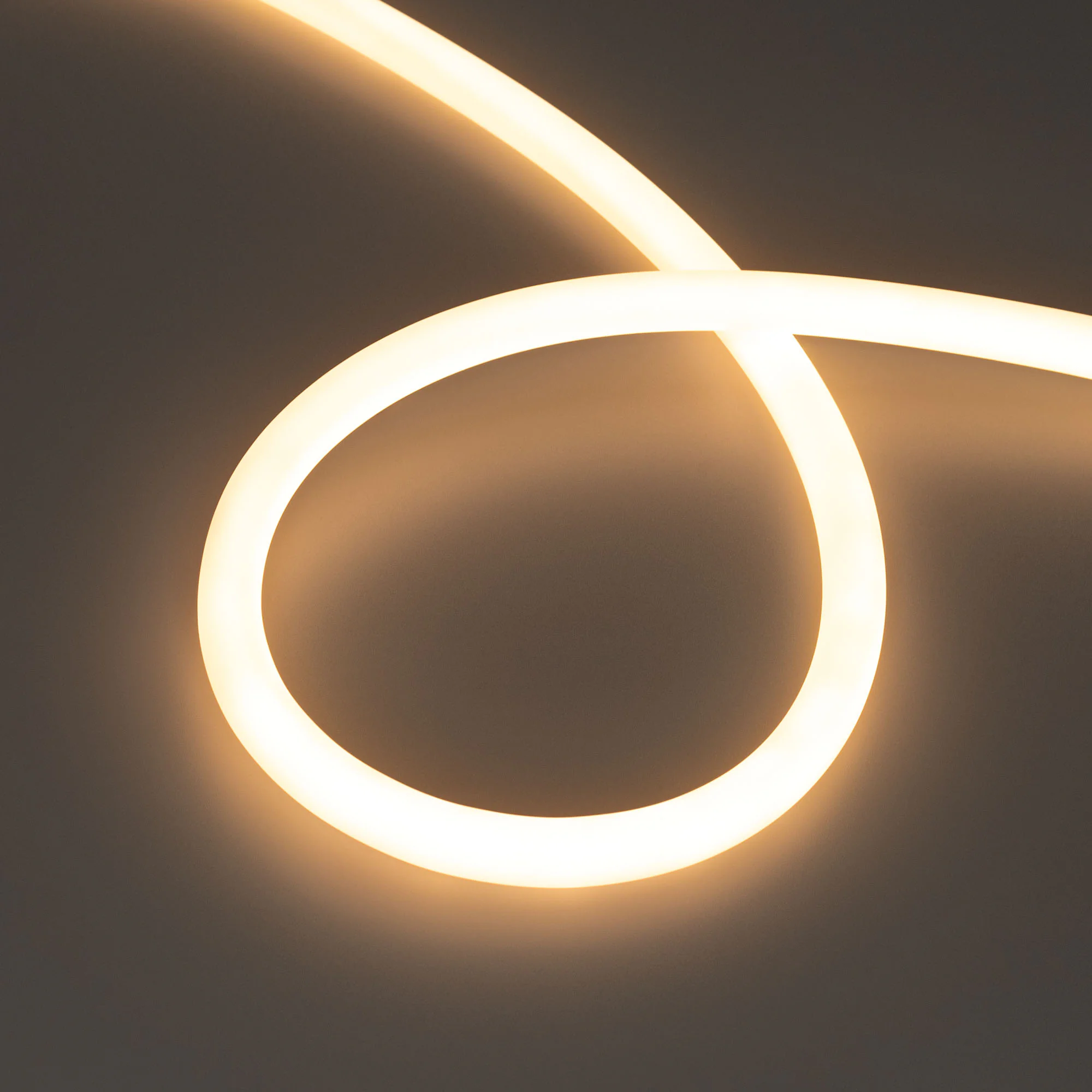 Лента герметичная MOONLIGHT-TOP-S-M560-D13mm 24V Warm2700 (13 W/m, IP65, 5m, wire x1, трос) 043815 - Гибкая герметичная лента (неон серии MOONLIGHT), сечение 13х13 мм с тросом-натяжителем. Светодиоды SMD2216 560 шт/м. Цвет свечения ТЁПЛЫЙ (2700 К), индекс